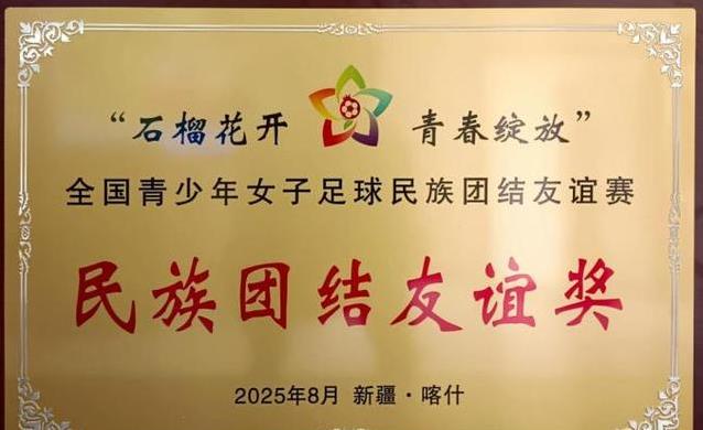 https, 踢球