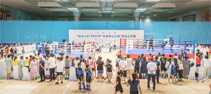 近年来, 市汉城散打, 际国内高水