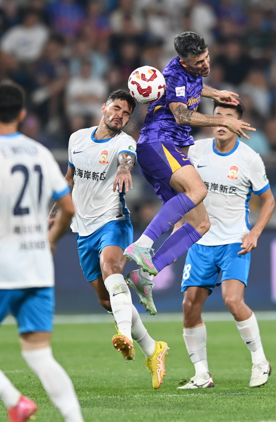 inews, com, 天津津门虎